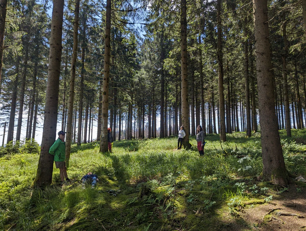 Entspannen in Thüringen